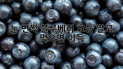 눈👀 번쩍! 블루베리 효능🫐 알고 먹으면 💖이득!